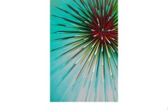 Spikes - Ralph Domino (Best - Open B Grade - 09 Jul 2020 PDI)