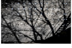 Tree and Stairs - Bob Warfield (Commended - Open B Grade - 09 Jul 2020 PDI)