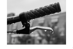 Wet start to the day - Matt Smith (Commended - Set Subj B Grade - 09 Jul 2020 PDI)