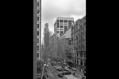 ANZ Chamber and 333 Collins St (Robert Fairweather ©)