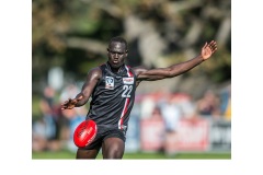 VFL Action - Graeme Diggle (Highly Commended - Open B Grade - Apr 2019 PDI)
