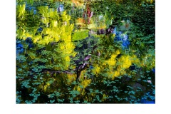 Aspects - Peter Black (Highly Commended - Open B Grade - Apr 2019 PDI)