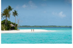 love - Jinfei Yang (Commended - Open B Grade - Apr 2019 PDI)