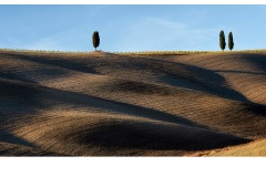 Three on the Hill - Jane Clancy (Highly Commended - Open A Grade - Apr 2019 PDI)