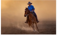 Aussie Jillaroo - Peter Walton (Highly Commended - Open A Grade - Apr 2019 PDI)