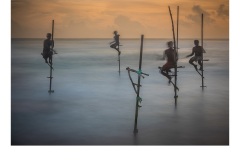 Stilt Fishers Galle - Lesley Bretherton (Commended - Open A Grade - Apr 2019 PDI)