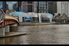 Aquarium Outing (Bob Clothier ©)