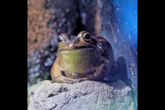 Aquarium Outing (Jim O'Donnell ©)