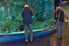 Aquarium Outing (Bob Clothier ©)