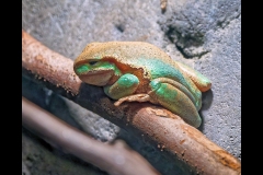 Aquarium Outing (Jim O'Donnell ©)