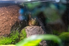 Aquarium Outing (David Davidson ©)