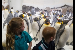 Aquarium Outing (Lisa Xu ©)