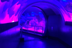 Aquarium Outing (Bob Clothier ©)