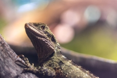 Aquarium Outing (Alan Scott ©)
