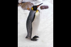 Aquarium Outing (Jim O'Donnell ©)