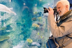 Aquarium Outing (Lisa Xu ©)