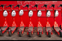 Aquarium Outing (Bob Clothier ©)