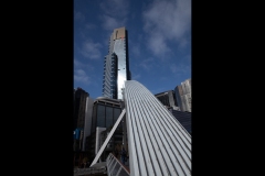 Aquarium Outing (David Davidson ©)