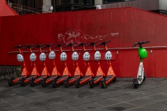 Aquarium Outing (David Davidson ©)