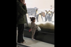 Aquarium Outing (Bob Clothier ©)