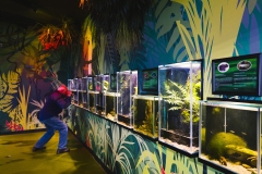 Aquarium Outing (Lisa Xu ©)