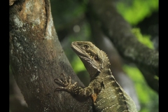 Aquarium Outing (Paul Palcsek ©)