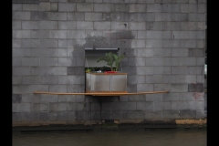 Aquarium Outing (Paul Palcsek ©)