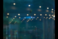 Aquarium Outing (Paul Palcsek ©)