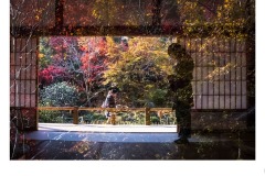 Double Exposure - Robyn Faris (Best - Open B Grade - Aug 2019 PDI)