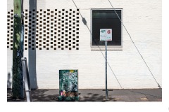 Wall Art #2 - Renee Sterling (Commended - Open B Grade - Aug 2019 PDI)