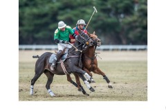 Polo ride off - Graeme Diggle (Commended - Open B Grade - Aug 2019 PDI)