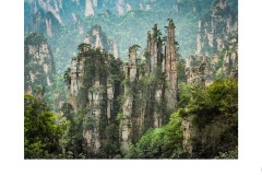 Avatar Zone - Brian Seddon (Commended - Open A Grade - Aug 2019 PDI)