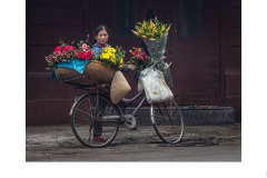 Hanoi Flower Vendor - Brian Seddon (Commended - Set Subject 'F is for ...' - Aug 2019 PDI)