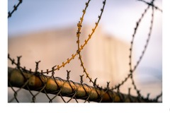 Fence - Paul Dodd (Commended - Set Subject 'F is for ...' - Aug 2019 PDI)