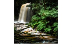 Falls - Luis De Pieri (Commended - Set Subject 'F is for ...' - Aug 2019 PDI)