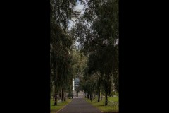 Australian Sports Museum & MCG (David Davidson ©)