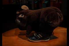 Australian Sports Museum & MCG (David Davidson ©)