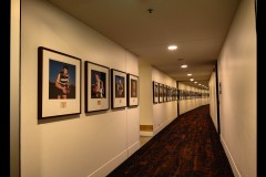 Australian Sports Museum & MCG (Sony Varma ©)
