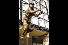 Australian Sports Museum & MCG (Peter Stuchbery ©)