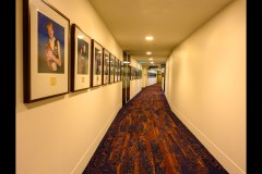 Australian Sports Museum & MCG (Val Earl ©)
