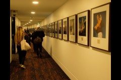 Australian Sports Museum & MCG (Bob Clothier ©)