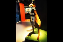 Australian Sports Museum & MCG (Joe Hajdu ©)