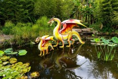 Blue Lotus Water Garden (Alan Scott ©)