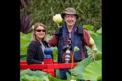 Blue Lotus Water Garden (Jim Weatherill ©)