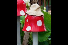 Blue Lotus Water Garden (Jim O'Donnell ©)