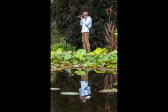 Blue Lotus Water Garden (Jim Weatherill ©)