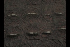 Blue Lotus Water Garden (Paul Palcsek ©)