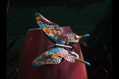 Blue Lotus Water Garden (Paul Palcsek ©)