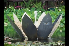 Blue Lotus Water Garden (Joe Hajdu ©)