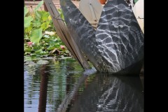 Blue Lotus Water Garden (Doni Baz ©)